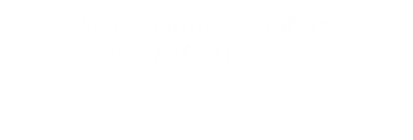 Полонський ліцей №1 імені М. Кукурузи